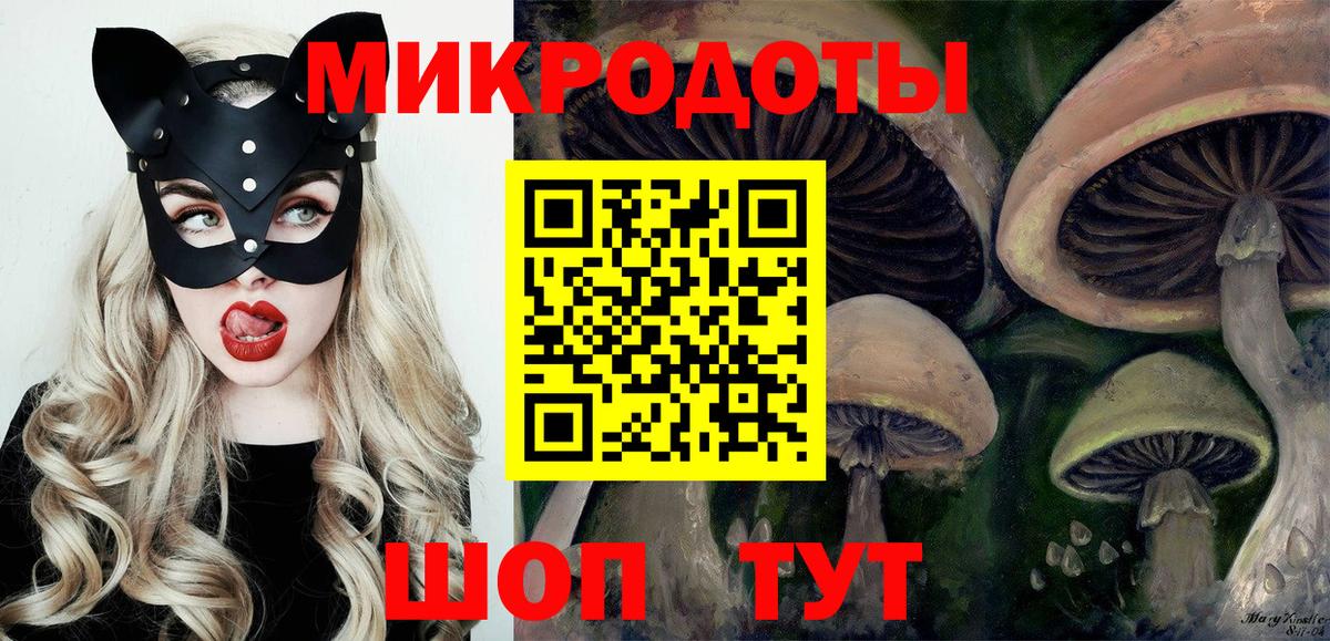 Псилоцибиновые грибы Psilocybe  Галлюциногенные грибы Psilocybe  Вход с VPN  Тосно 